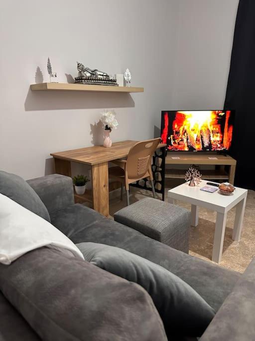a living room with a couch and a fireplace at New renovated 1 BEDROOM FLAT North NİCOSİA 5A in Yenişehir