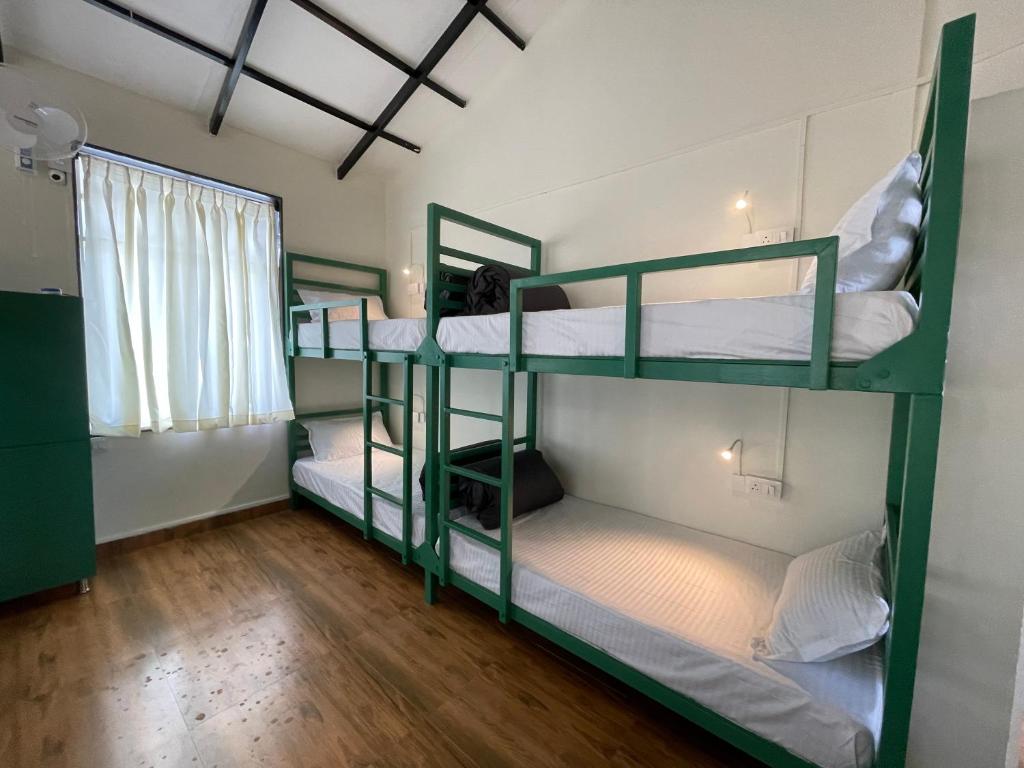 Voodi või voodid majutusasutuse ABODE Backpacker's Hostel toas
