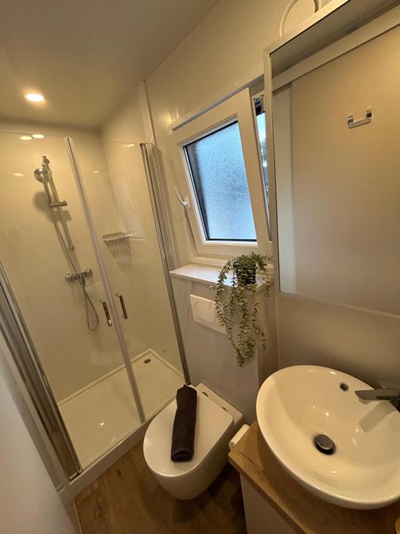 Koupelna v ubytování Mobile home TIM