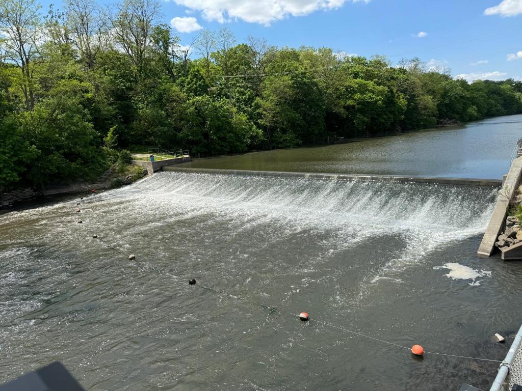 a dam on a river with a waterfall at Sugar on The Sugar River in Albany
