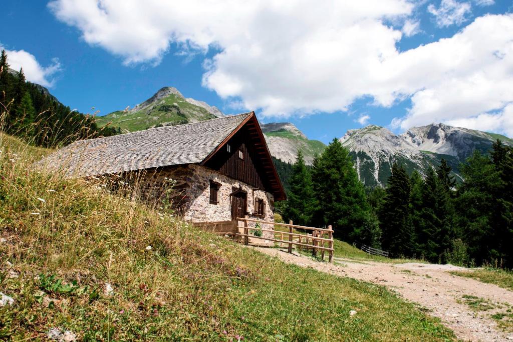 Příroda nedaleko apartmánu