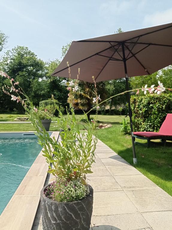 Bazén v ubytování Le clos de CINACLE nebo v jeho okolí
