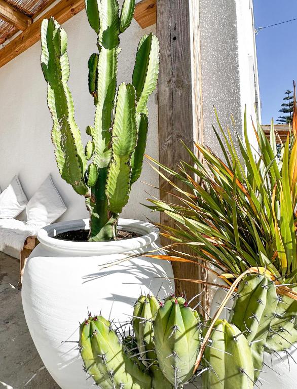 Ocean House - next to Ribeira d'ilhas Ericeira Surf Beach - 7