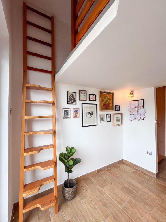 Fotografie z fotogalerie ubytování N&J Villa Swan Bled v Bledu