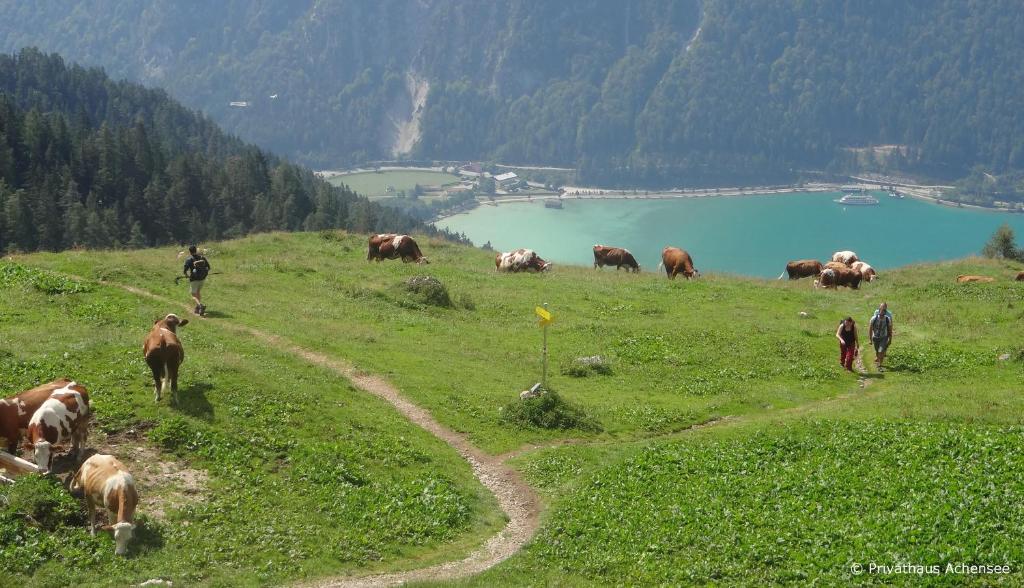 Paesaggio naturale nelle vicinanze della casa vacanze