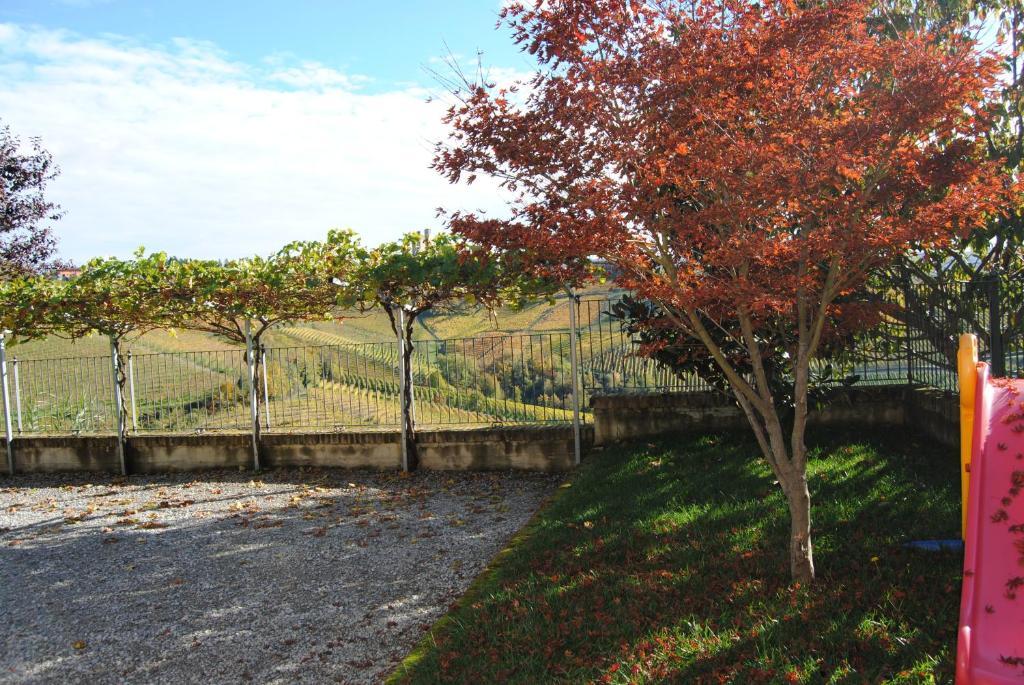 Zahrada ubytování Agriturismo I Grappoli