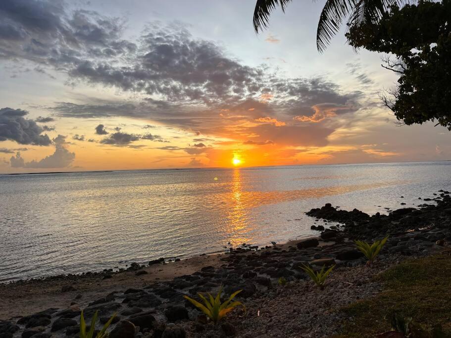 Enoha Lodge - Climatisation, Fibre, Accès Plage, Parking Privé - photo 9 - Moorea, Polynésie