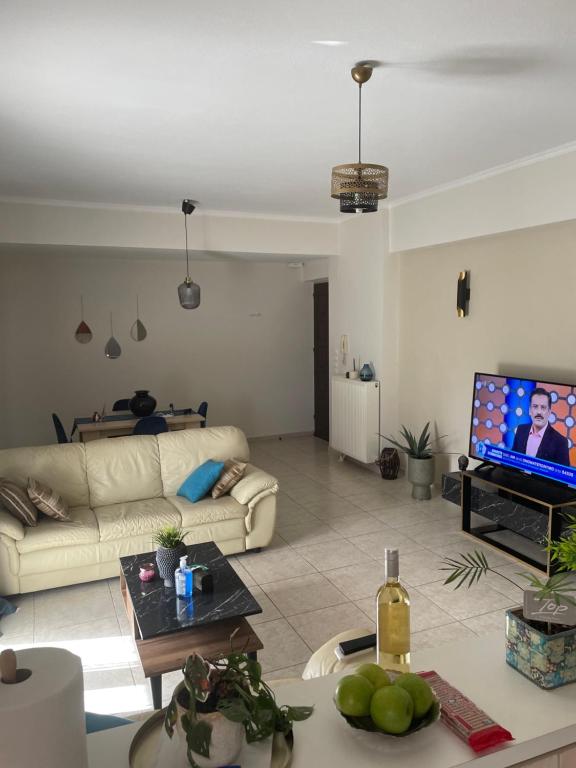 Tzitzifianaki apartment