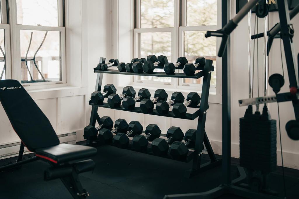 Fitness centrum a/nebo fitness zařízení v ubytování Lakefront, Mountain View - 1 Bedroom Resort Suite