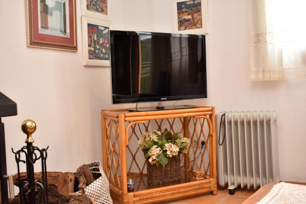 TV a/nebo společenská místnost v ubytování Apartamento rural "LA MUELA"