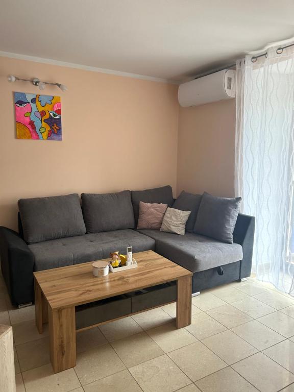 Posezení v ubytování Apartman Luka