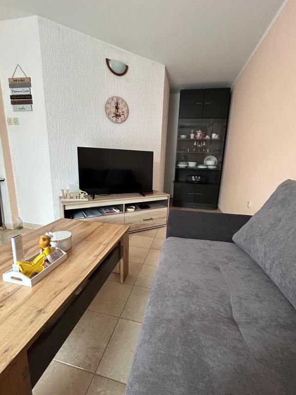 TV a/nebo společenská místnost v ubytování Apartman Luka