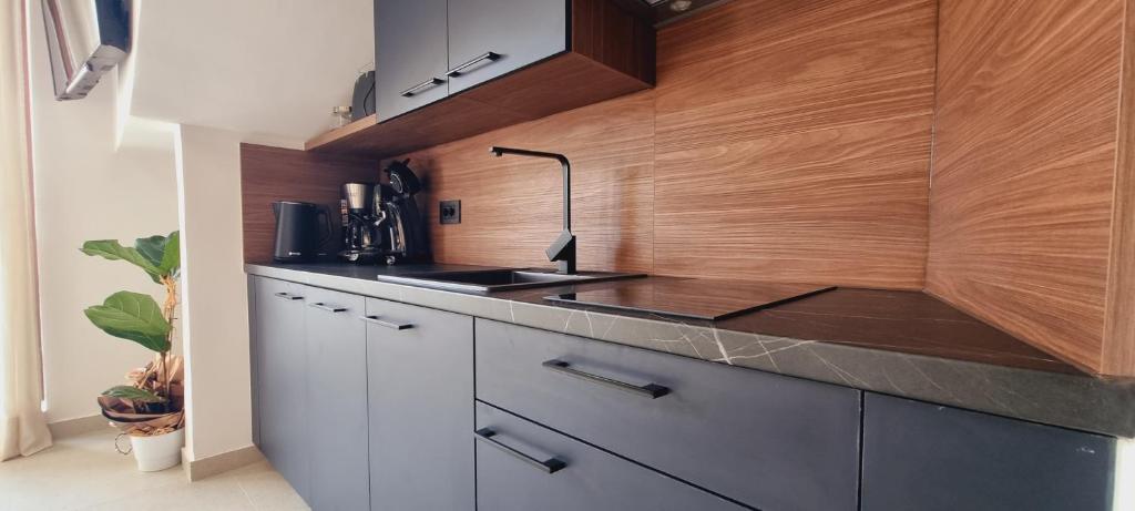 Kuchyň nebo kuchyňský kout v ubytování Apartman MILA TAR