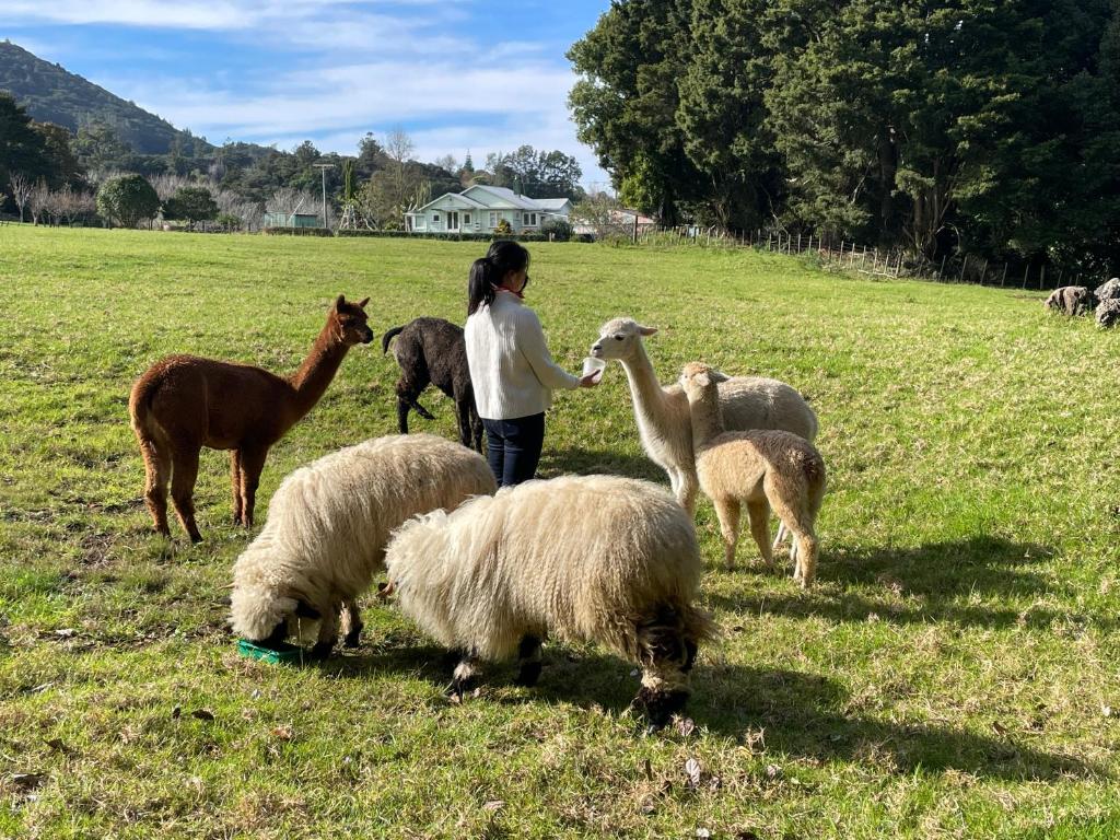 Highlander Farmstay - Cabins - Resim 38