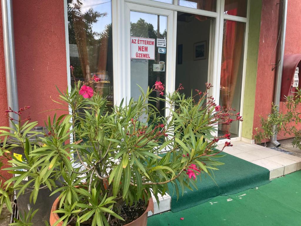 a sign in front of a building with plants at Tifani Szálló in Balatonlelle