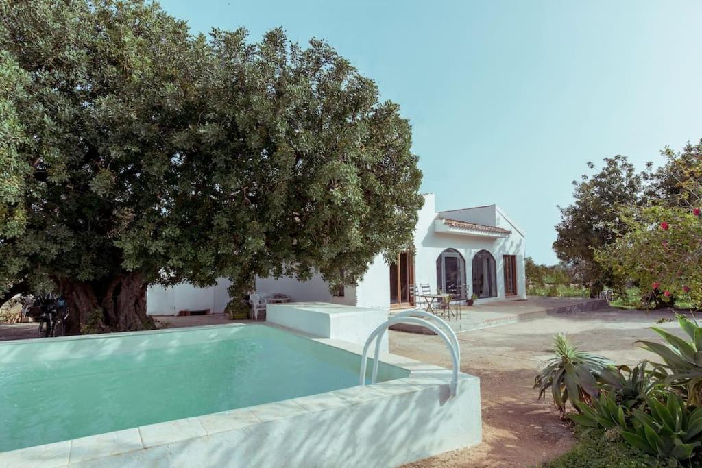 una piscina frente a una casa con un árbol en Finca La Madreselva, en Alhaurín el Grande