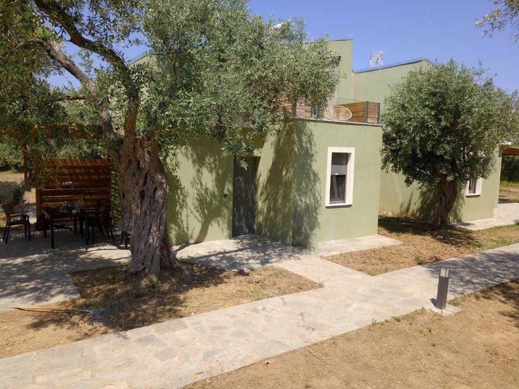 a house with a tree in front of it at The Thassian Yard Houses in Prinos