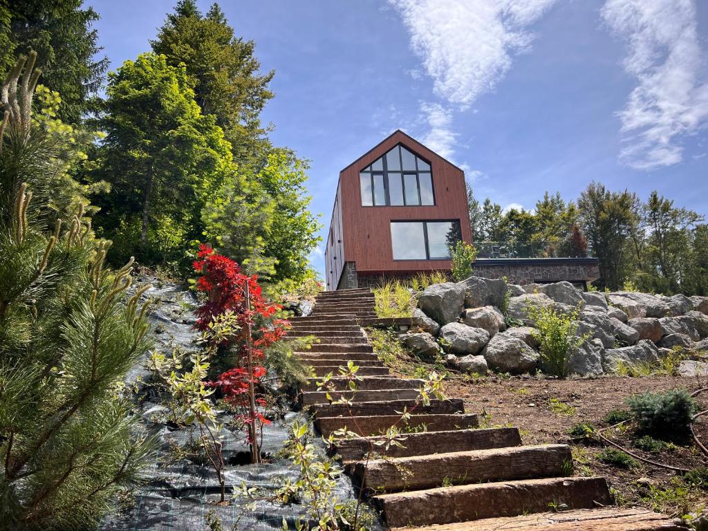 a house on a hill with stairs in front at Valera Vita Forest House in Hlevci