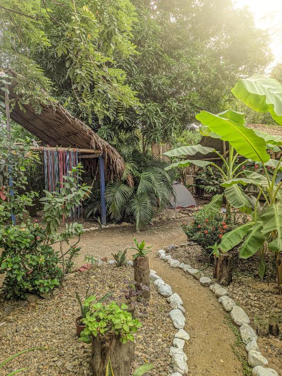 Zahrada ubytování Hostal Palomino EcoHouse & Camping