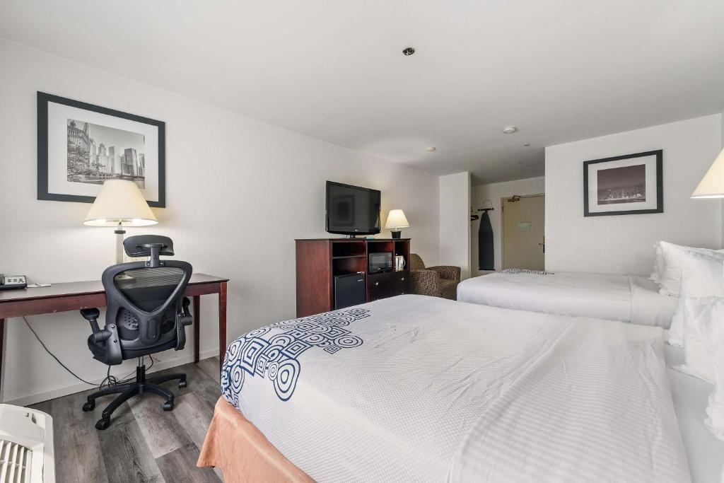 Best Western Oakbrook Inn - 豪华皇后室和两个大床 - 不吸烟