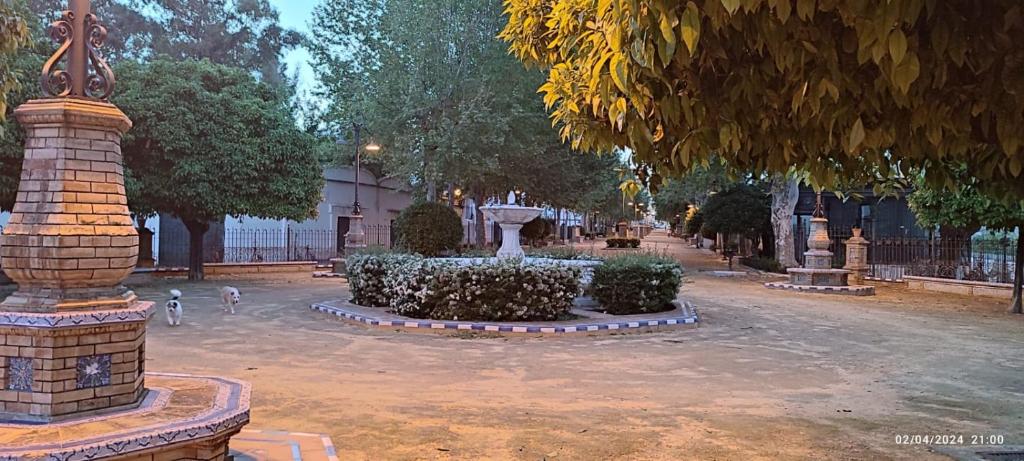 Gallery image of Casa Manuel alquiler de habitaciones en casa compartida in Carmona