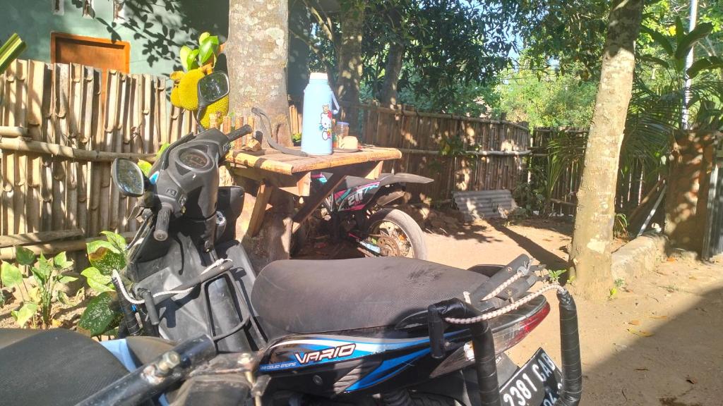 Fotografie z fotogalerie ubytování Palm Homestay Kuta v destinaci Kuta Lombok