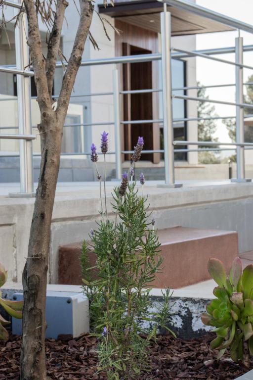 Villa Simul Hotel Boutique, Valle de Guadalupe BC - One-Bedroom House