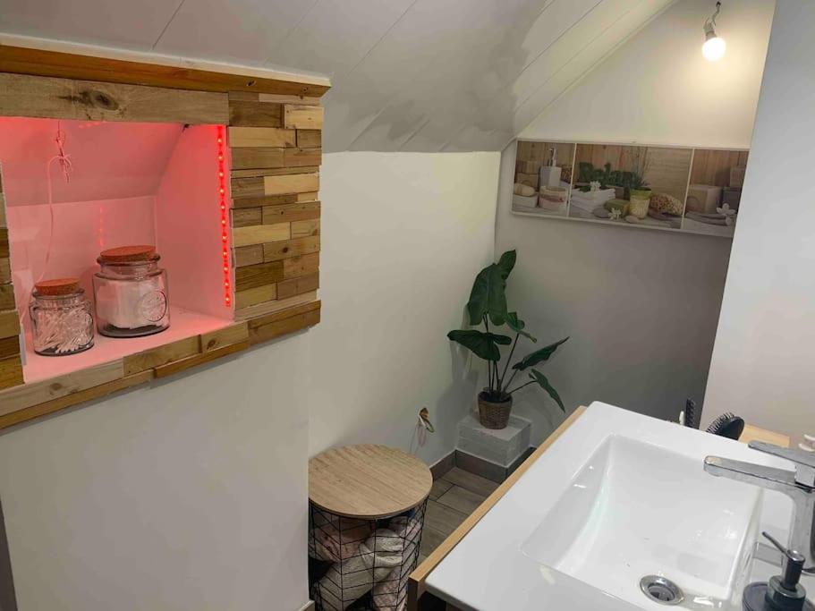 La salle de bains est pourvue d'un lavabo et d'un plan de travail. dans l'établissement Très joli studio à Montpellier, à Montpellier