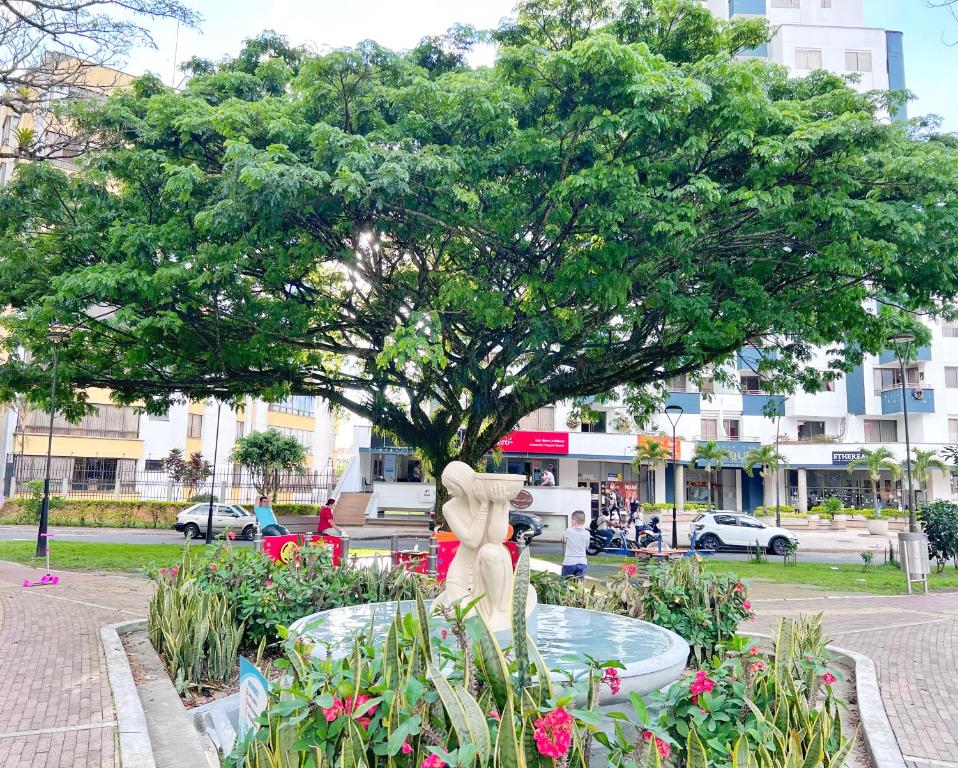 Zahrada ubytování Apartamentos Amoblados En La Circunvalar Cerca a Parque Arboleda y Parque La Rebeca, Por Parceros Group
