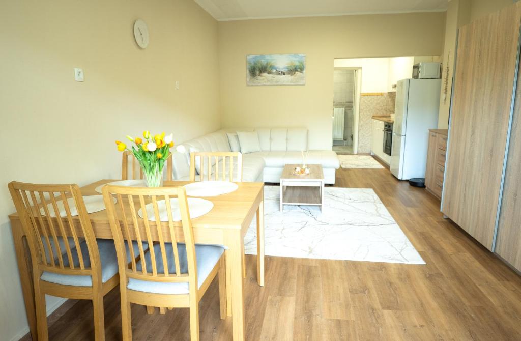 Posezení v ubytování Apartma Alina