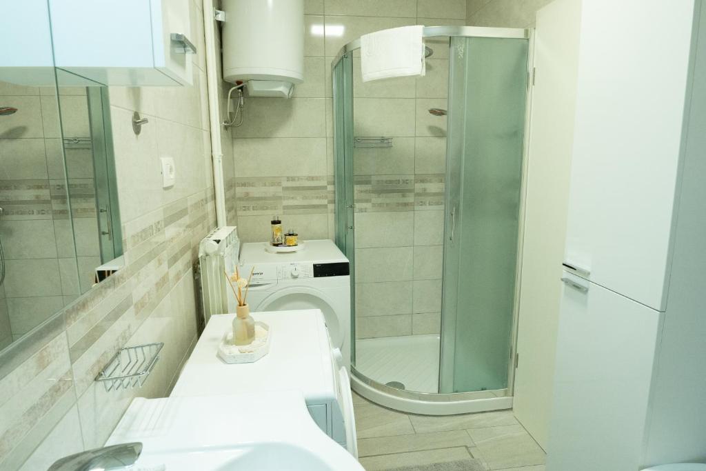 Koupelna v ubytování Apartma Alina