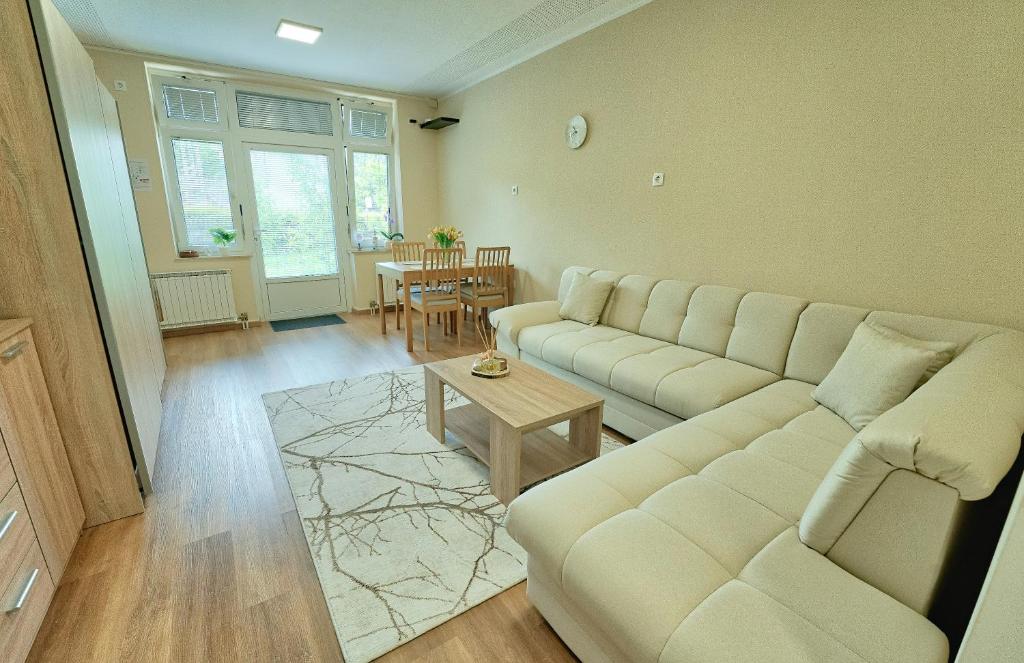 Posezení v ubytování Apartma Alina