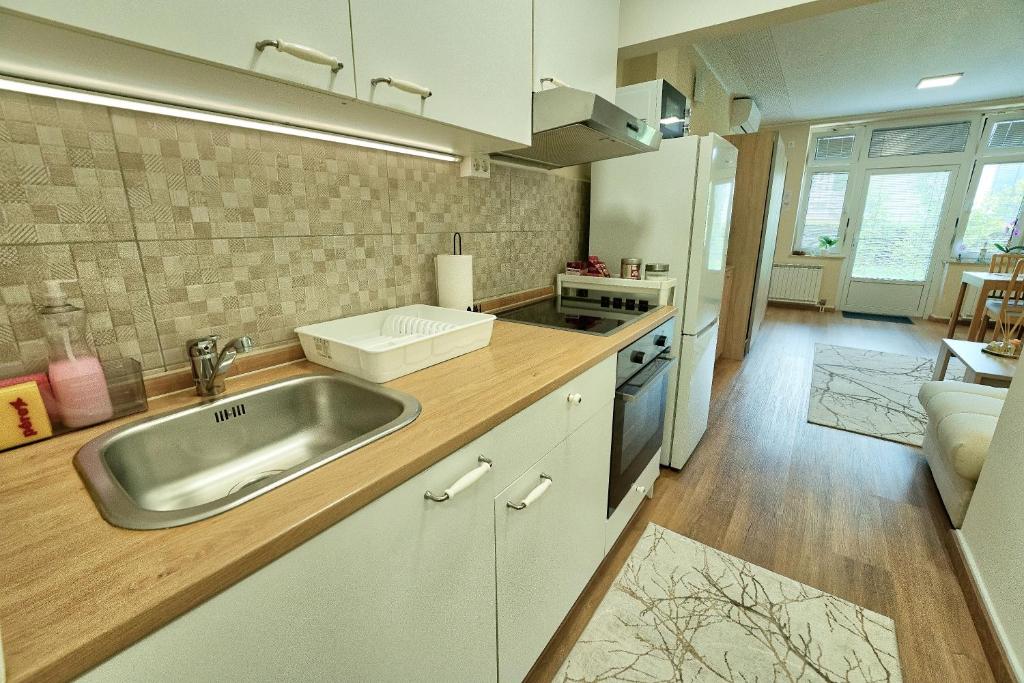 Kuchyň nebo kuchyňský kout v ubytování Apartma Alina