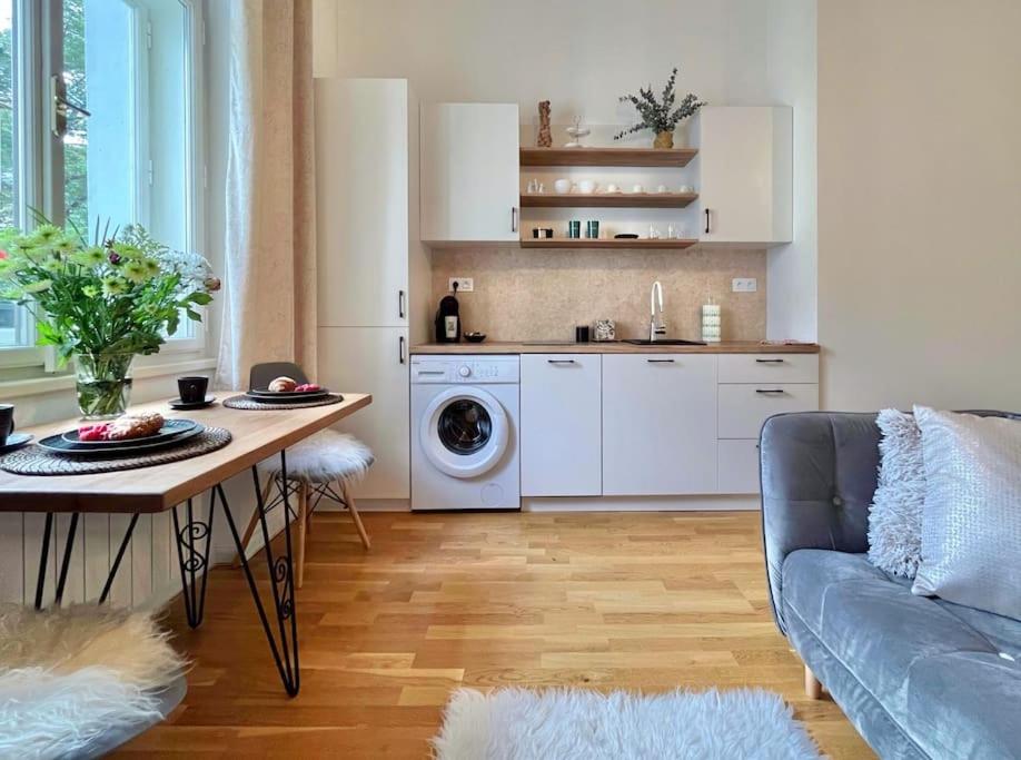 Kuchyň nebo kuchyňský kout v ubytování Beautiful apartment near Muzeum