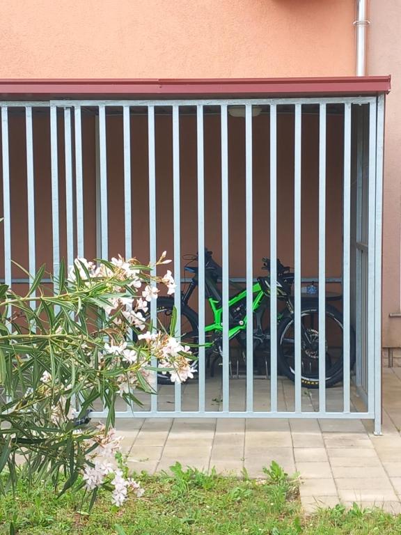 Bed & Breakfast Grgic - 14