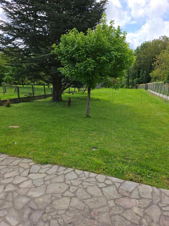 Zahrada ubytování Bord de Loire