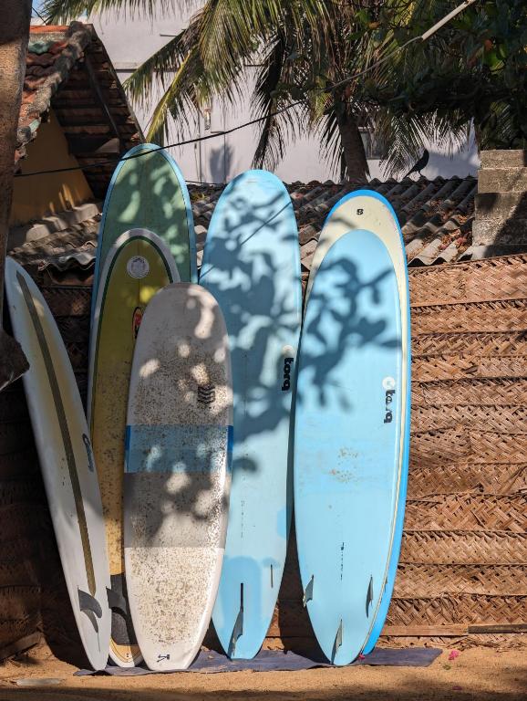 Fotografie z fotogalerie ubytování Beach View v destinaci Arugam Bay
