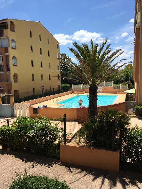 - une piscine avec un palmier à côté d'un bâtiment dans l'établissement STUDIO CABINE CAP d'AGDE, au Cap d'Agde