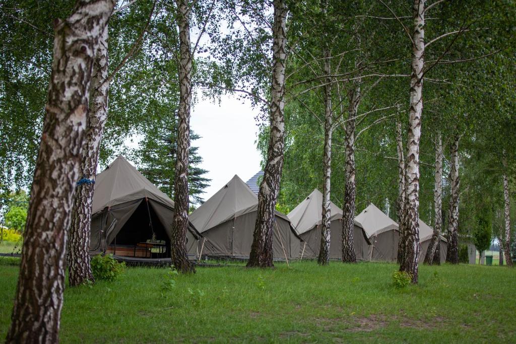 Beztroska Zatoka - ośrodek wypoczynkowy Jacuzzi & Sauna - Tent
