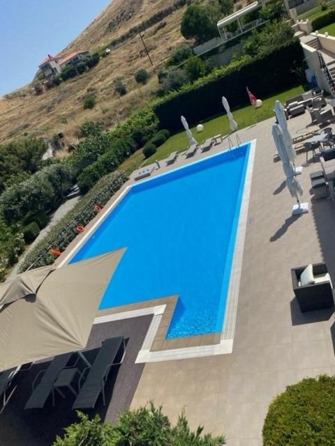 an overhead view of a large blue swimming pool at Ammos Suites in Platy