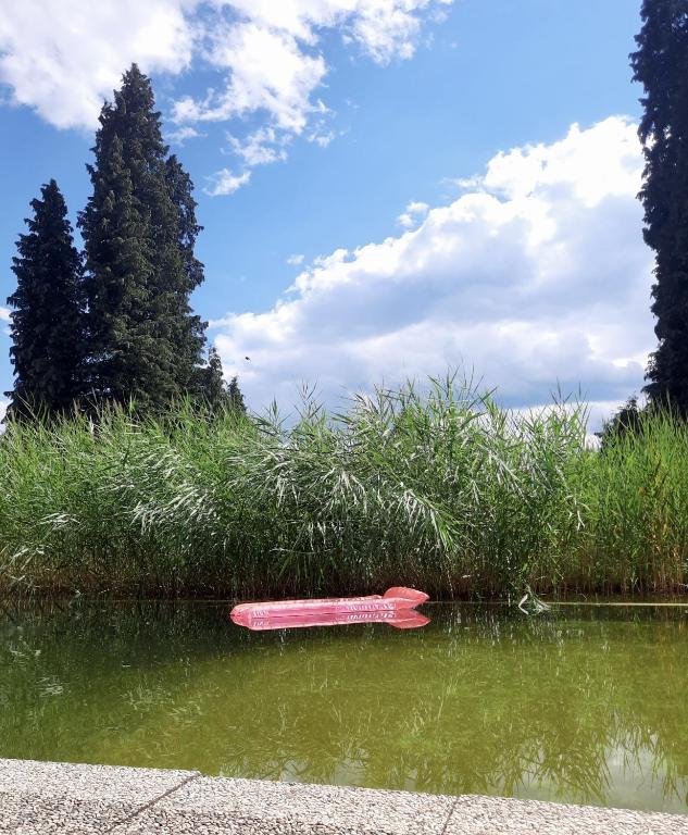Příroda nedaleko hotelu