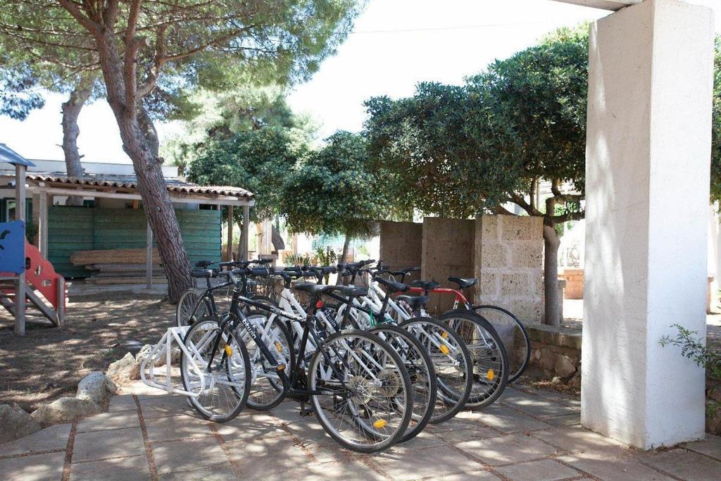 Jízda na kole v ubytování HOTEL SoleMare Gallipoli nebo okolí