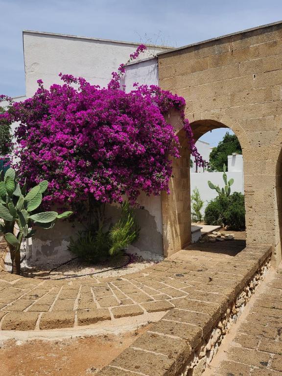 Zahrada ubytování HOTEL SoleMare Gallipoli