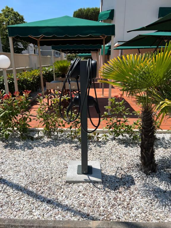 Fotografie z fotogalerie ubytování Hotel Liu v destinaci Lido di Camaiore