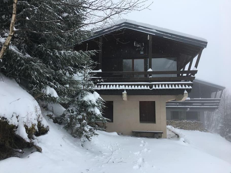 L'établissement Chalet au Pla d'Adet en hiver