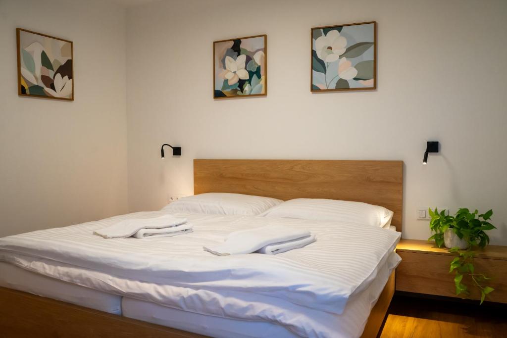 Postel nebo postele na pokoji v ubytování Apartmány Římský vrch