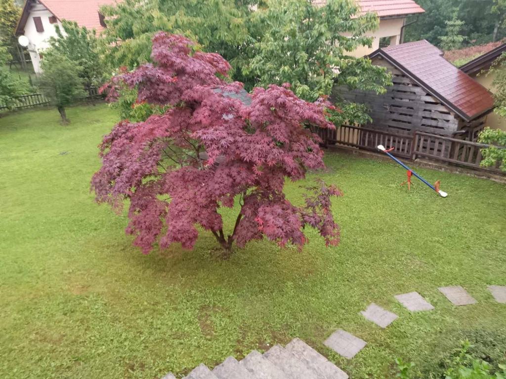 Zahrada ubytování Kuća za odmor Family Fužine