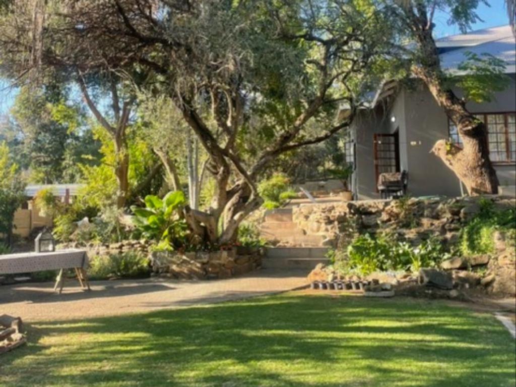 a house with a tree and a bench in a yard at 12 On York Guesthouse in Bloemfontein