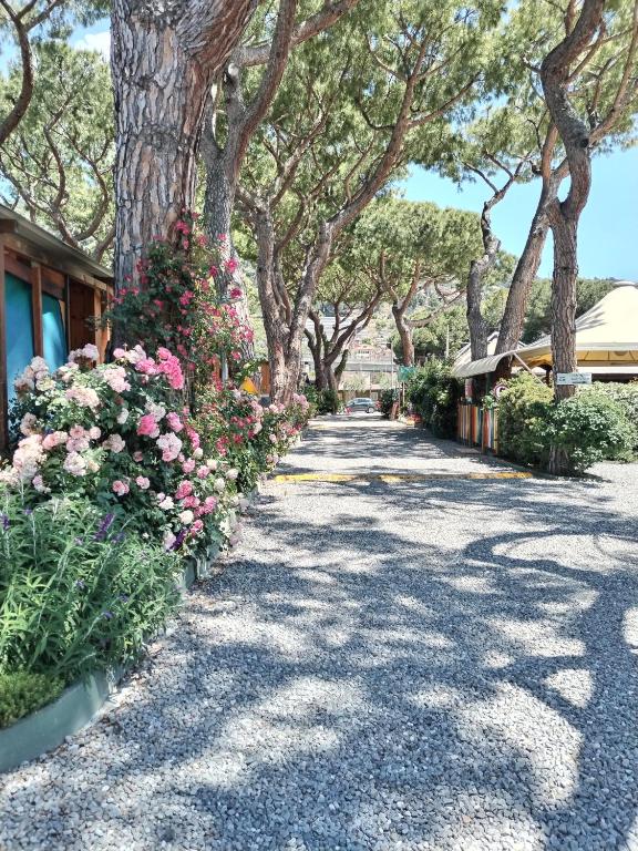 Zahrada ubytování Camping Roma