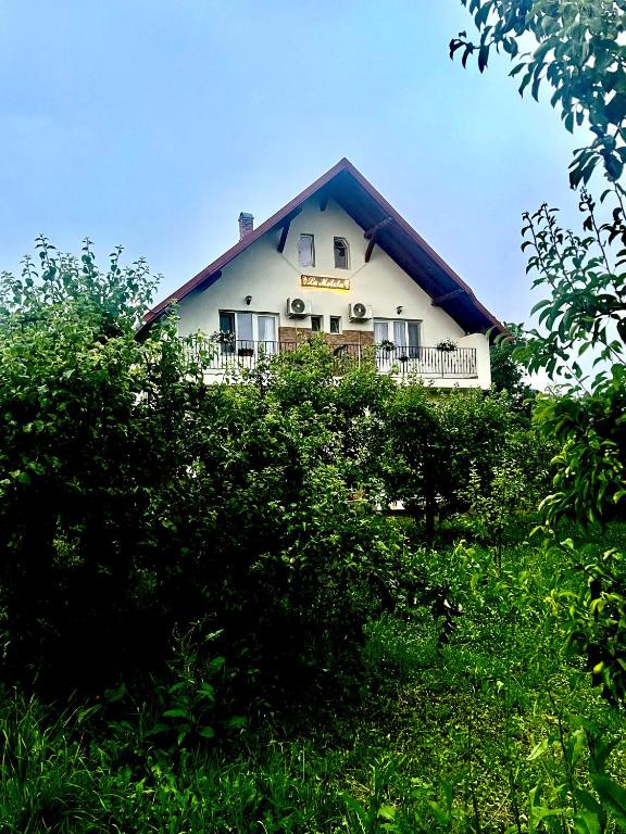 a house on top of a hill with bushes at Pensiunea La Meleta in Şurdeşti